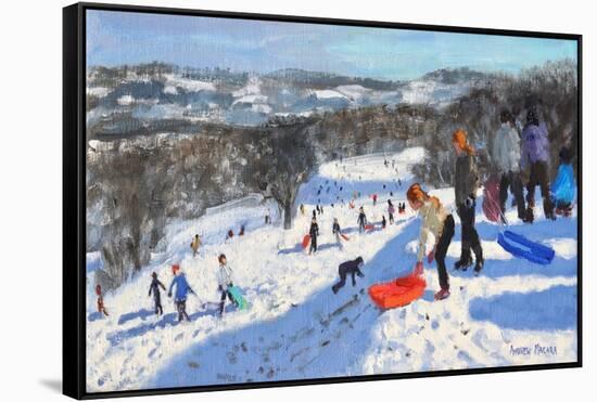 The Red Sledge, Allestree Park, Derby, 2016-Andrew Macara-Framed Stretched Canvas