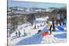 The Red Sledge, Allestree Park, Derby, 2016-Andrew Macara-Stretched Canvas