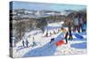 The Red Sledge, Allestree Park, Derby, 2016-Andrew Macara-Stretched Canvas