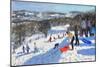 The Red Sledge, Allestree Park, Derby, 2016-Andrew Macara-Mounted Premium Giclee Print