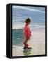 The Red Spade-Paul Gribble-Framed Stretched Canvas