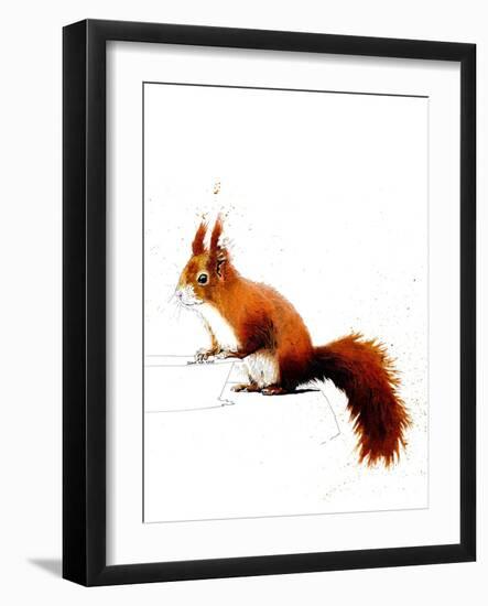 The Red Squirrel on White, 2019, (Pen and Ink)-Mike Davis-Framed Giclee Print
