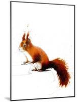 The Red Squirrel on White, 2019, (Pen and Ink)-Mike Davis-Mounted Giclee Print