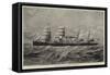 The Red Star Line Steam-Ship Westernland-null-Framed Stretched Canvas