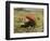 The Red Sunshade, circa 1860-Franz Seraph von Lenbach-Framed Giclee Print