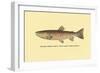 The Red Throat Trout-H.h. Leonard-Framed Art Print