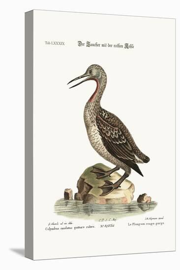 The Red-Throated Ducker or Loon, 1749-73-George Edwards-Stretched Canvas