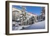 The red train on viaduct surrounded by snowy woods, Cinuos-Chel, Canton of Graubunden, Engadine, Sw-Roberto Moiola-Framed Photographic Print