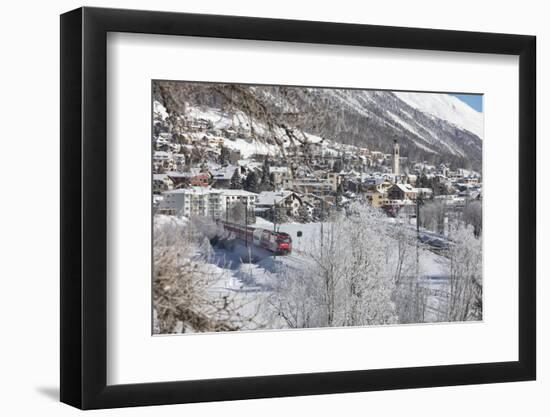 The red train runs across the snowy landscape around Samedan, Maloja, Canton of Graubunden, Engadin-Roberto Moiola-Framed Photographic Print