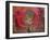 The Red Tray (Oil on Board)-Anne Redpath-Framed Giclee Print