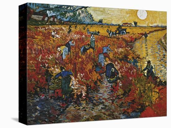 The Red Vineyard in Arles, 1888-Vincent van Gogh-Stretched Canvas