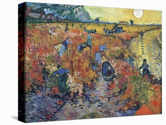 The Red Vineyards at Arles, 1888-Vincent van Gogh-Stretched Canvas