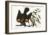 The Red-Winged Starling, 1749-73-Mark Catesby-Framed Giclee Print