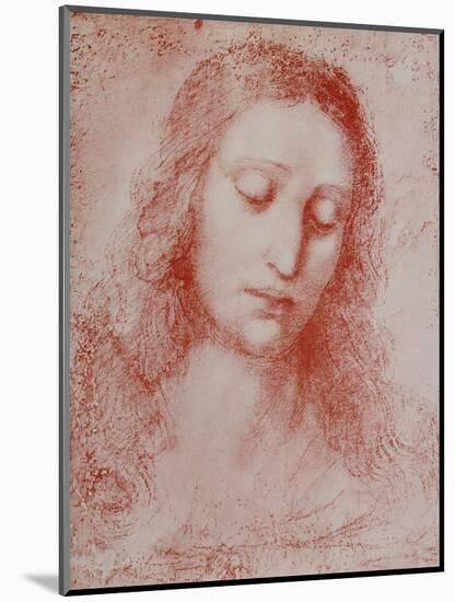 The Redeemer-Leonardo da Vinci-Mounted Giclee Print