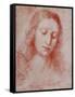 The Redeemer-Leonardo da Vinci-Framed Stretched Canvas