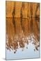 The reeds of the Danube Delta during sunset in winter, Romania.-Martin Zwick-Mounted Photographic Print