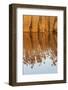 The reeds of the Danube Delta during sunset in winter, Romania.-Martin Zwick-Framed Photographic Print