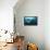 The Reef Manta Ray with Yellow Pilot Fish in Front of its Mouth-null-Framed Stretched Canvas displayed on a wall