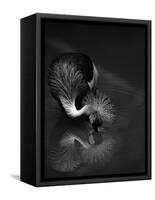 The Reflection-C.S.Tjandra-Framed Stretched Canvas
