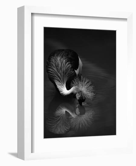 The Reflection-C.S.Tjandra-Framed Photographic Print