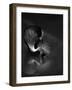 The Reflection-C.S.Tjandra-Framed Photographic Print