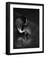 The Reflection-C.S.Tjandra-Framed Photographic Print