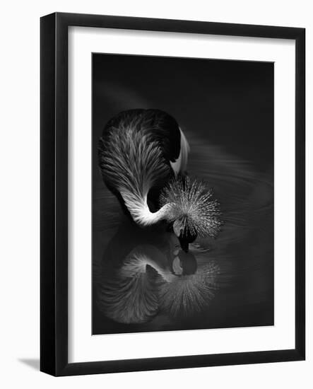 The Reflection-C.S.Tjandra-Framed Photographic Print