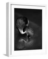 The Reflection-C.S.Tjandra-Framed Photographic Print