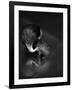 The Reflection-C.S.Tjandra-Framed Photographic Print