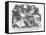 The Reform Bill, 1866, Frantic Excitement!!!, 1866-John Tenniel-Framed Stretched Canvas