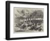 The Reform Meeting in Hyde Park-null-Framed Giclee Print