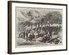 The Reform Meeting in Hyde Park-null-Framed Giclee Print