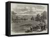 The Regatta at Henley-On-Thames-null-Framed Stretched Canvas