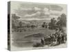 The Regatta at Henley-On-Thames-null-Stretched Canvas