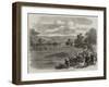 The Regatta at Henley-On-Thames-null-Framed Giclee Print