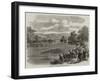 The Regatta at Henley-On-Thames-null-Framed Giclee Print