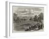 The Regatta at Henley-On-Thames-null-Framed Giclee Print