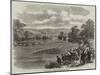 The Regatta at Henley-On-Thames-null-Mounted Giclee Print