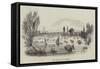 The Regatta at Henley-null-Framed Stretched Canvas