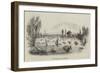 The Regatta at Henley-null-Framed Giclee Print