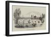 The Regatta at Henley-null-Framed Giclee Print