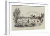 The Regatta at Henley-null-Framed Giclee Print