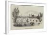 The Regatta at Henley-null-Framed Giclee Print