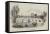 The Regatta at Henley-null-Framed Stretched Canvas