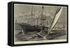 The Regetta at Cowes-null-Framed Stretched Canvas