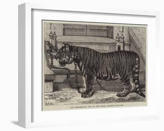 The Regimental Pet of the Royal Madras Fusiliers-Samuel John Carter-Framed Giclee Print