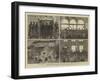 The Release of the Suspects, Popular Rejoicings in Dublin-null-Framed Giclee Print