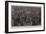 The Relief of Ladysmith, Extraordinary Scene of Enthusiasm in Pall Mall-Frederic De Haenen-Framed Giclee Print