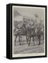 The Relief of Ladysmith, Meeting of Generals White and Buller and their Staffs-Richard Caton Woodville II-Framed Stretched Canvas