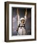 The Reluctant Astronaut-null-Framed Photo